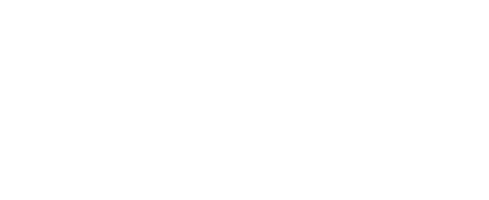 Plan Estratégico de Juárez